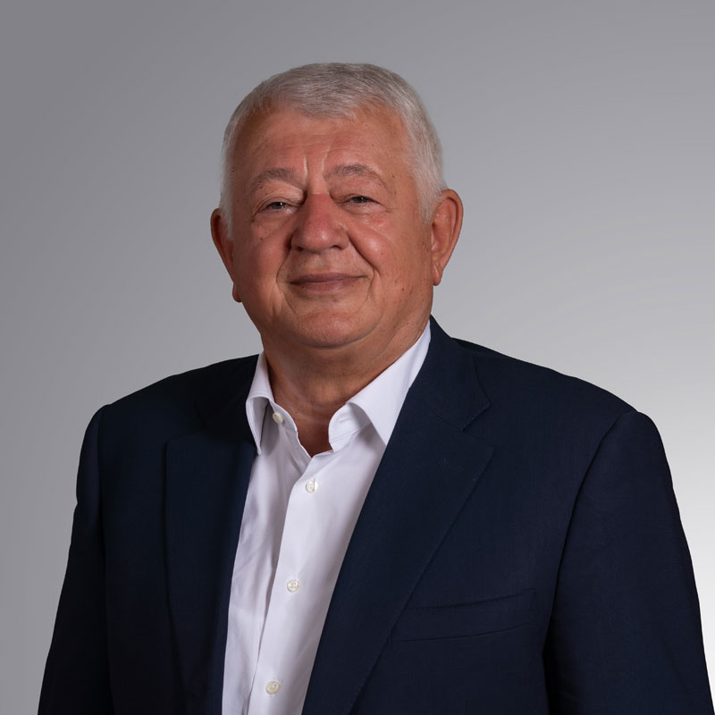 Hasan Hanić